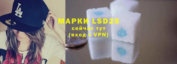 индика Наволоки