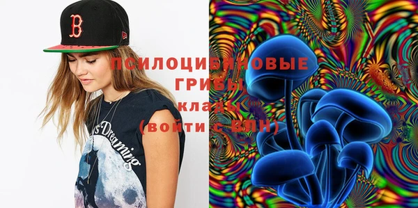 индика Наволоки