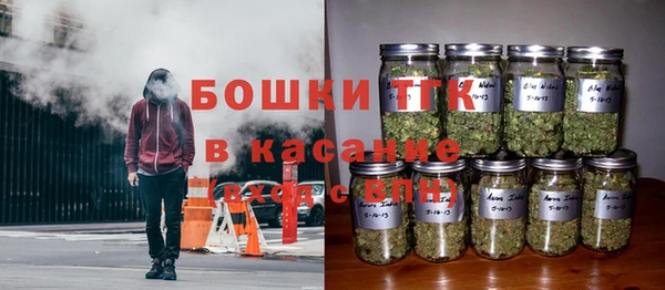 ГАЛЛЮЦИНОГЕННЫЕ ГРИБЫ Навашино