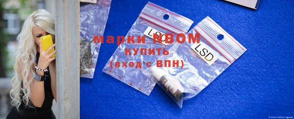 индика Наволоки