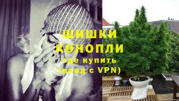 ГАЛЛЮЦИНОГЕННЫЕ ГРИБЫ Навашино