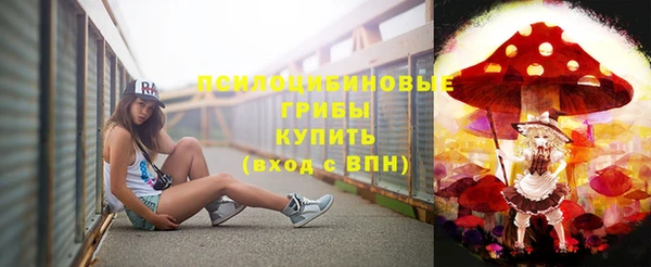 ГАЛЛЮЦИНОГЕННЫЕ ГРИБЫ Навашино