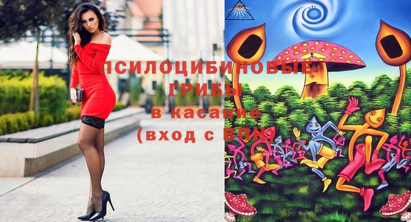 ГАЛЛЮЦИНОГЕННЫЕ ГРИБЫ Навашино