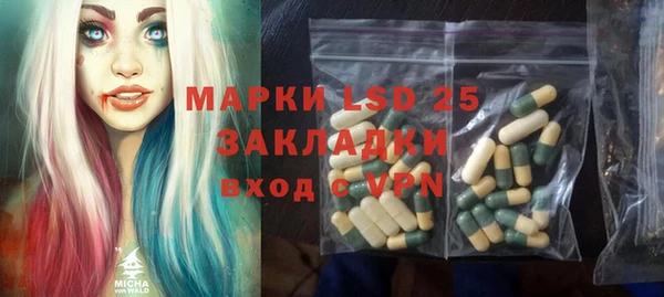 индика Наволоки