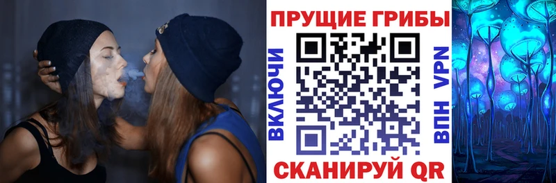 сколько стоит  Томмот  Галлюциногенные грибы Psilocybe 